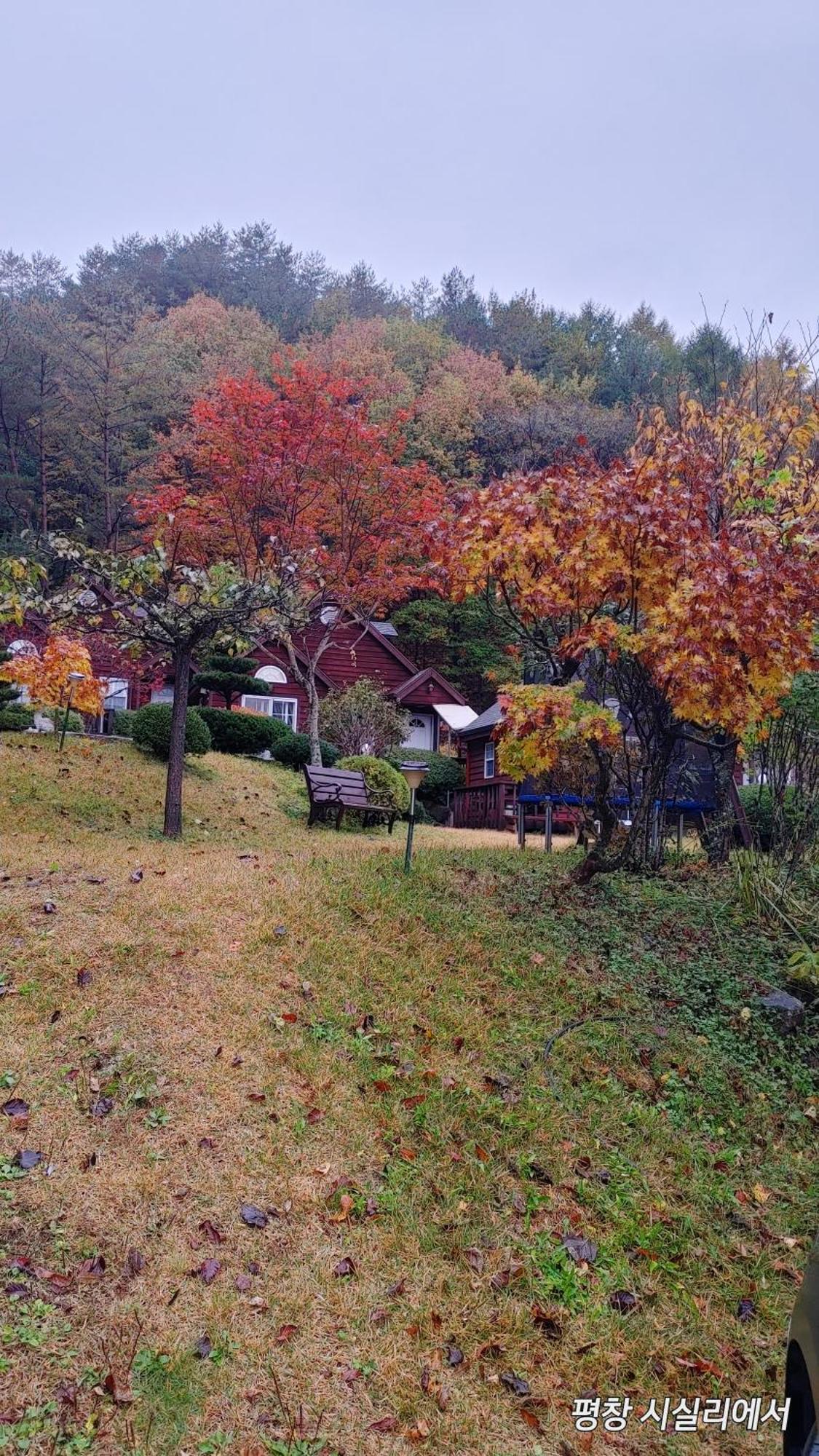 Sisilli Pension Pyeongchang Esterno foto