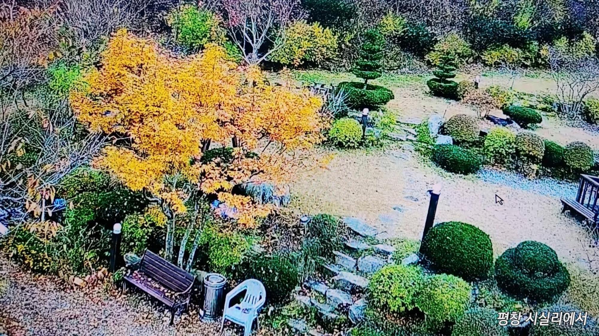 Sisilli Pension Pyeongchang Esterno foto