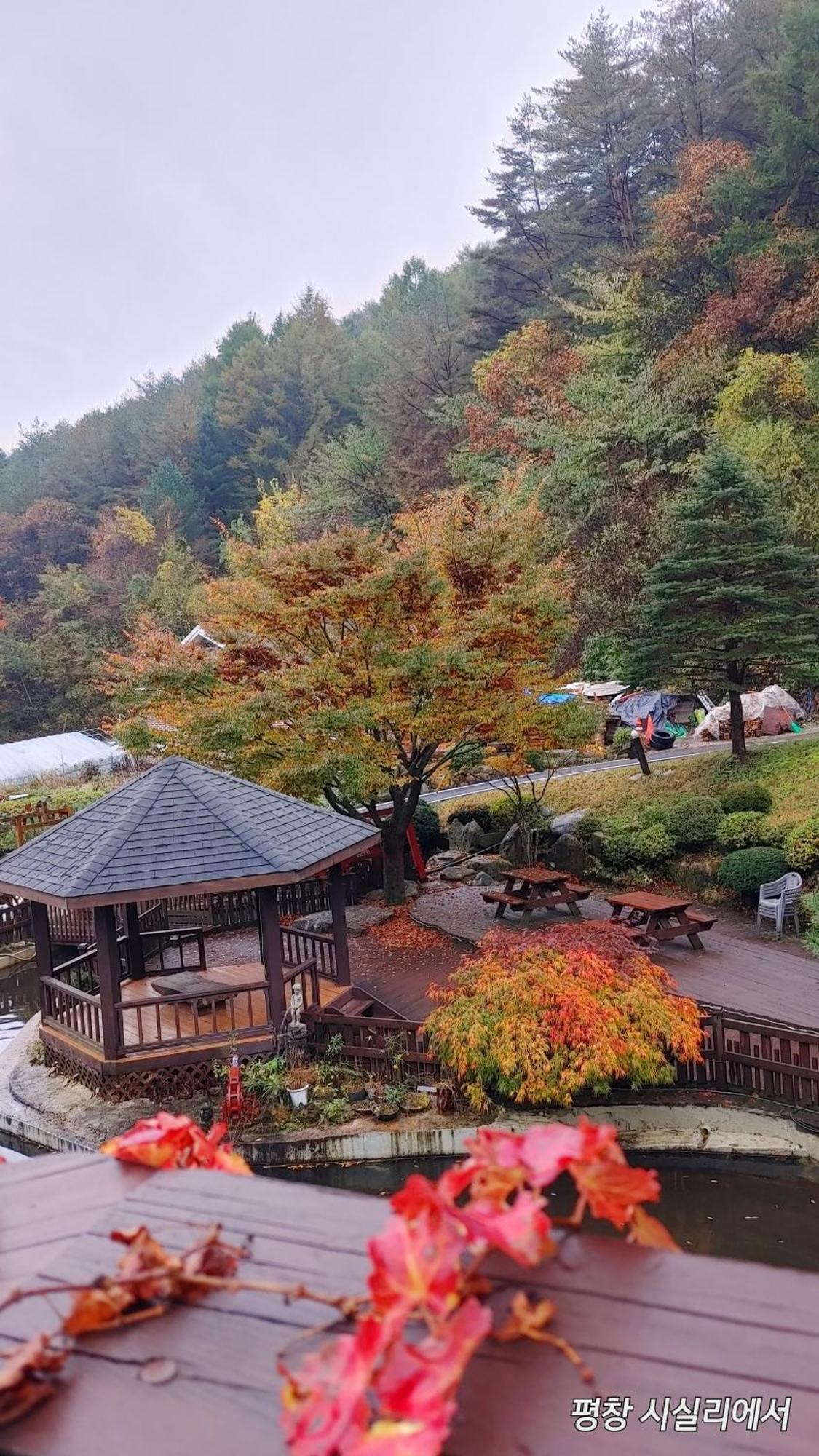 Sisilli Pension Pyeongchang Esterno foto